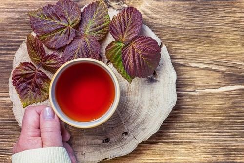 potion bien être rituels-bien-etre-infusion framboisier