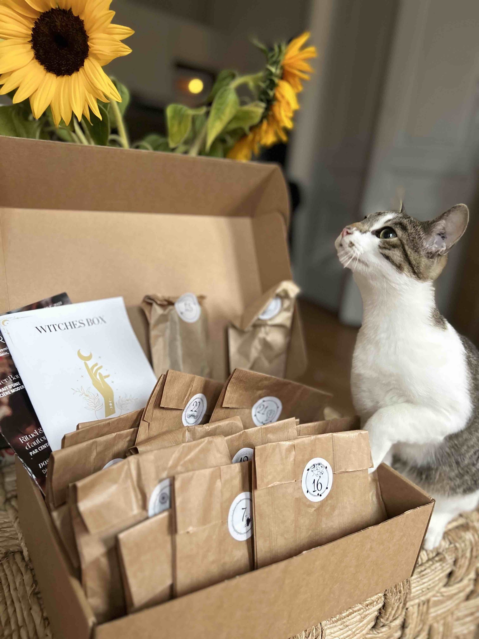 calendrier de l'avent femme